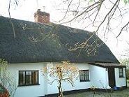 Polley Luray Cottage - Grade II Listed Building Threatened by Stansted Expansion