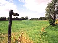 Looking west across the proposed Runway No.2, Taxiways and Passenger Terminals