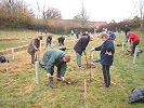 Tree Planting at Broxted Hill - 27 & 28 November 2004